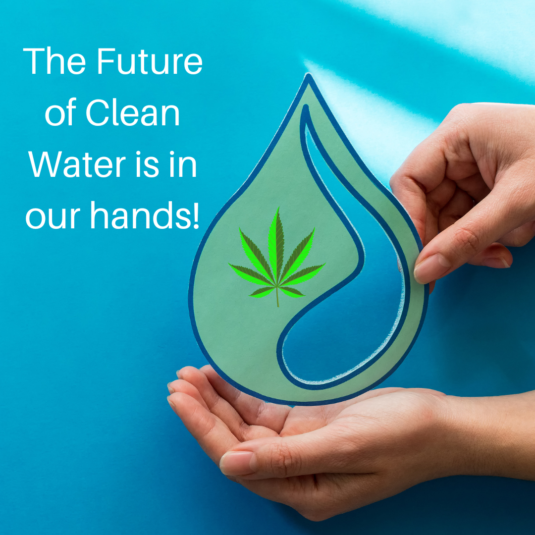 Drop of water with a hemp leaf in a pair of hands