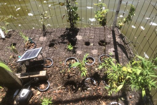 shows floating mat with several plants and electrical equipment.